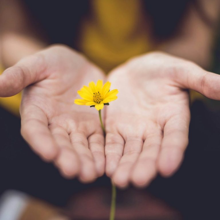Eine Blüte liegt in den Handflächen